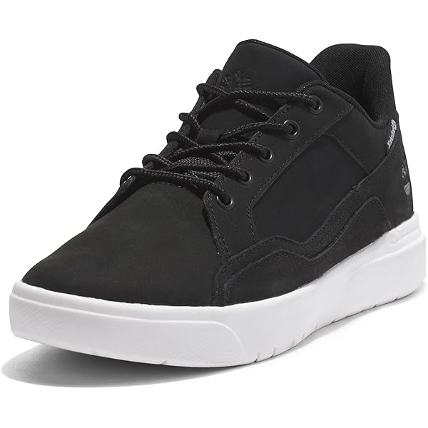 Amazon.com | Timberland Men's Mylo Bay Lace-Up Sneaker, Black, 7